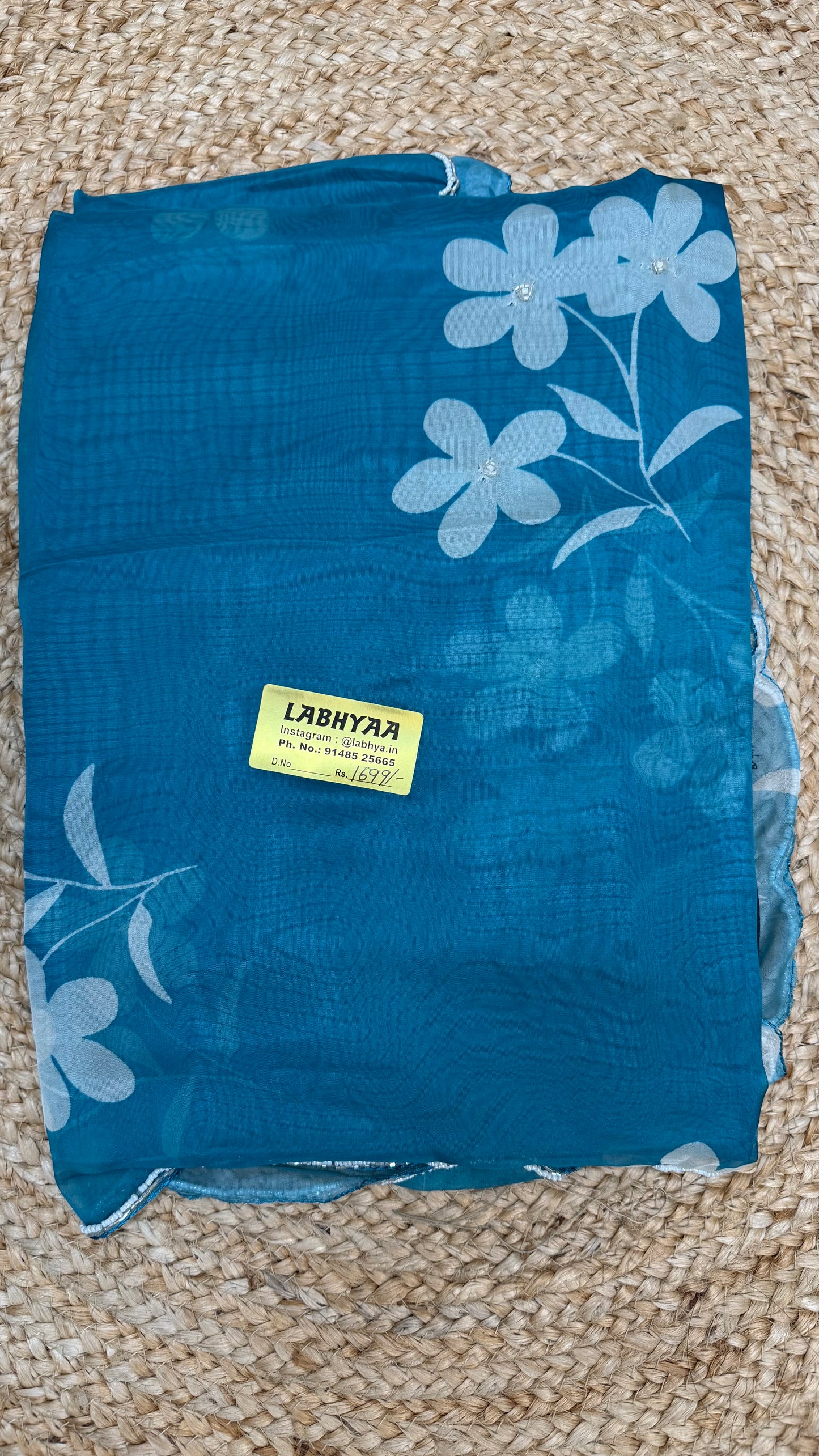 Sky blue soft Organza Saree.